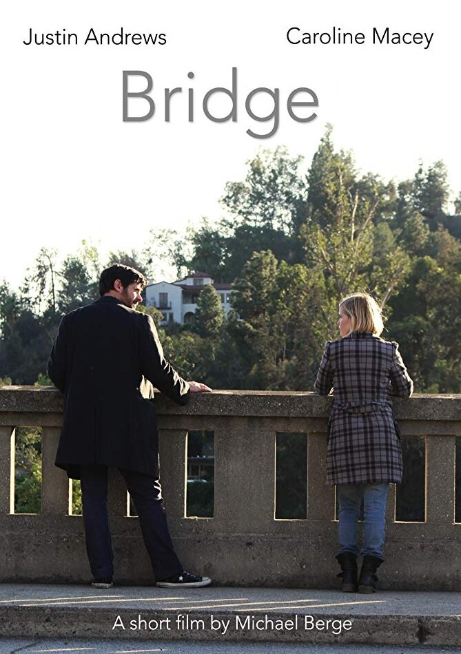 Bridge (2014)