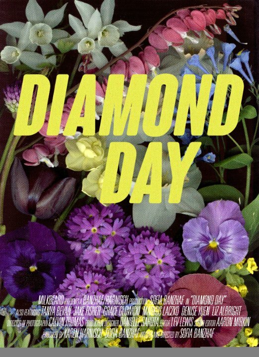 Diamond Day (2015)